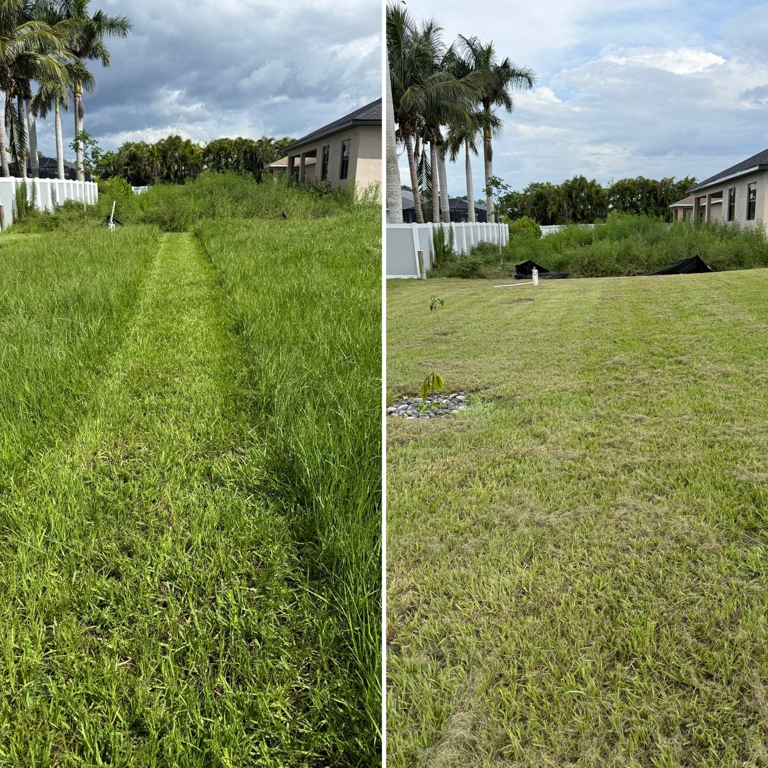 Before and after overgrown lot mowed clean