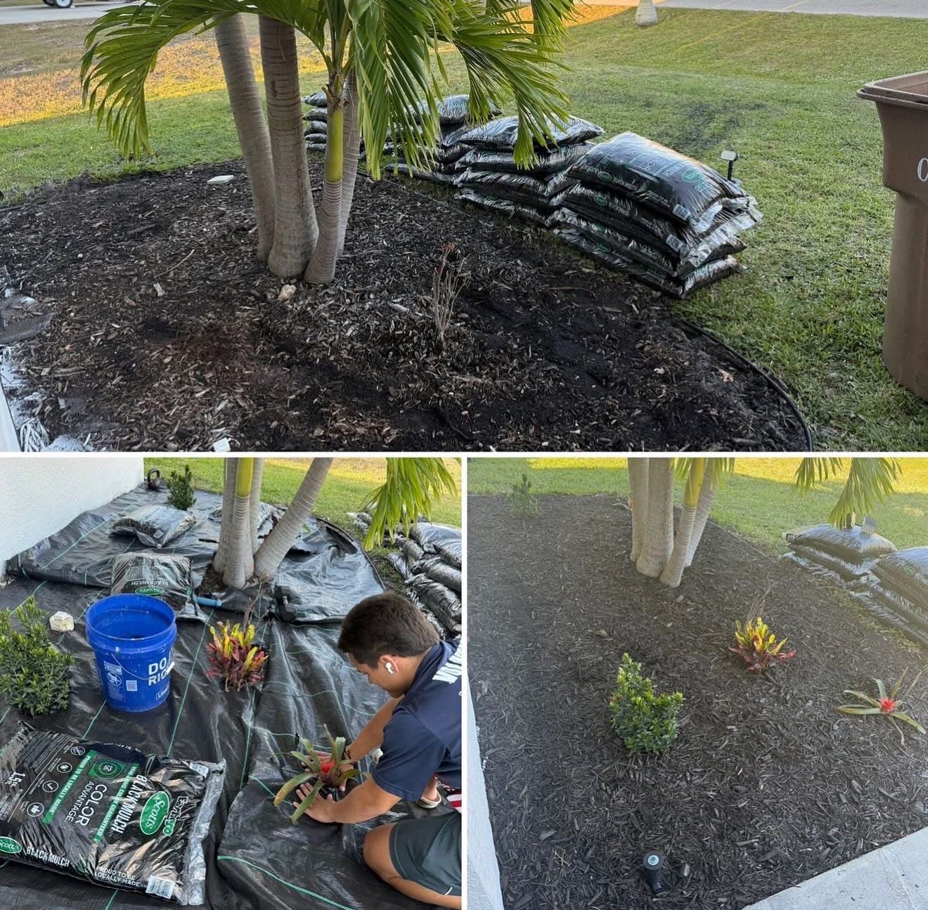 Palm island finished with black mulch and new plants