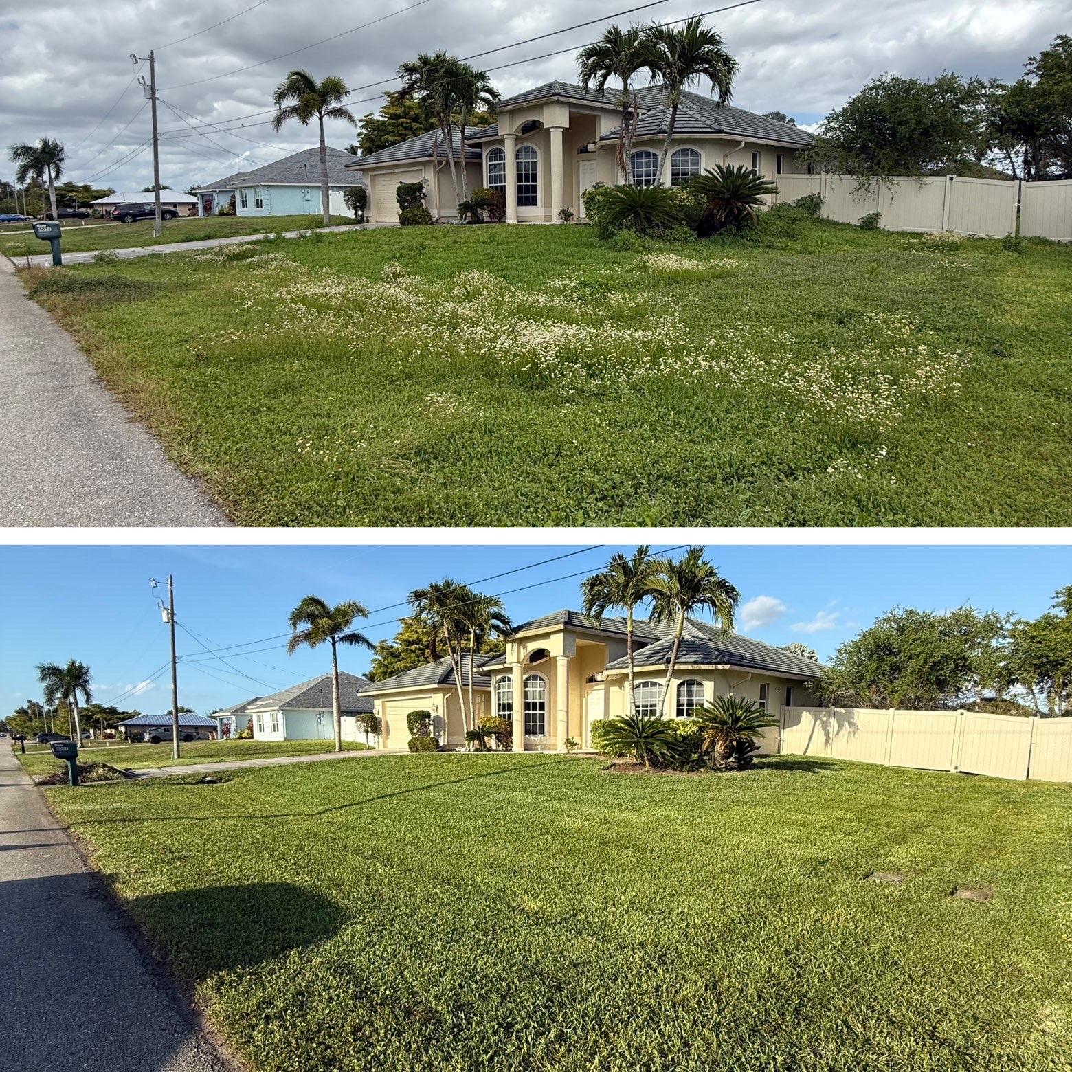 Overgrown property restored with full lawn service