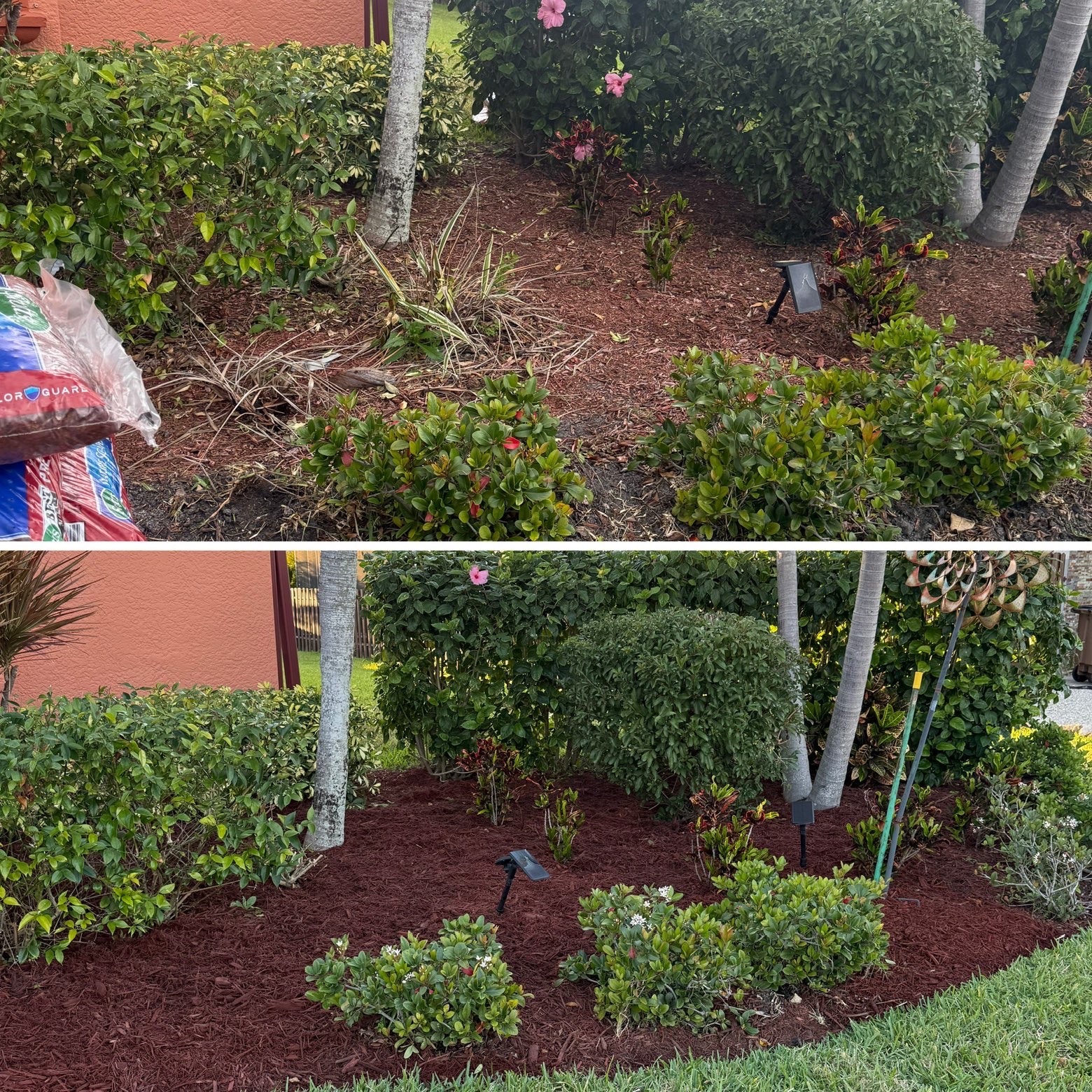 Landscape bed cleaned and refreshed with red mulch