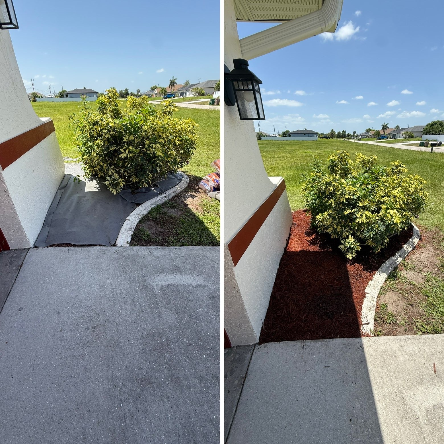 Entry bed mulched and finished around shrub