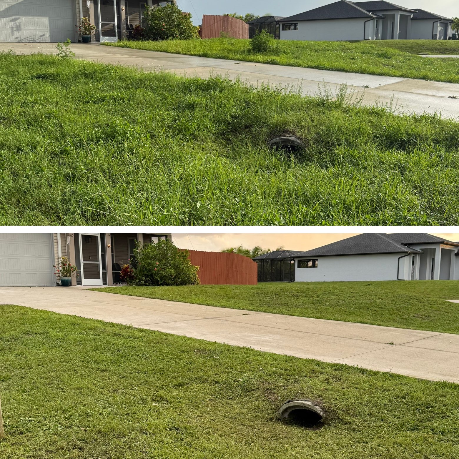 Driveway edge cleaned up and trimmed