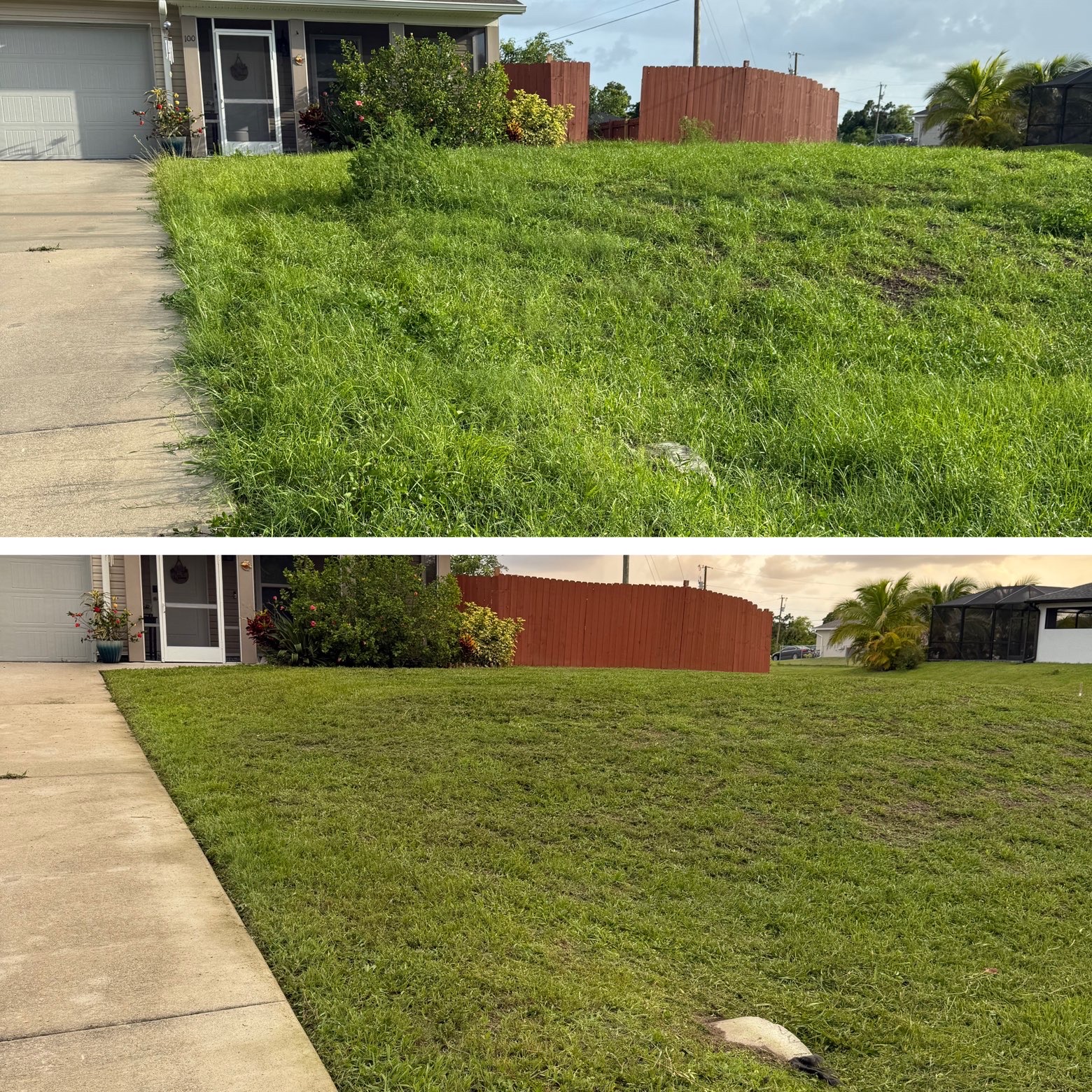 Tall grass cut down to a tidy lawn