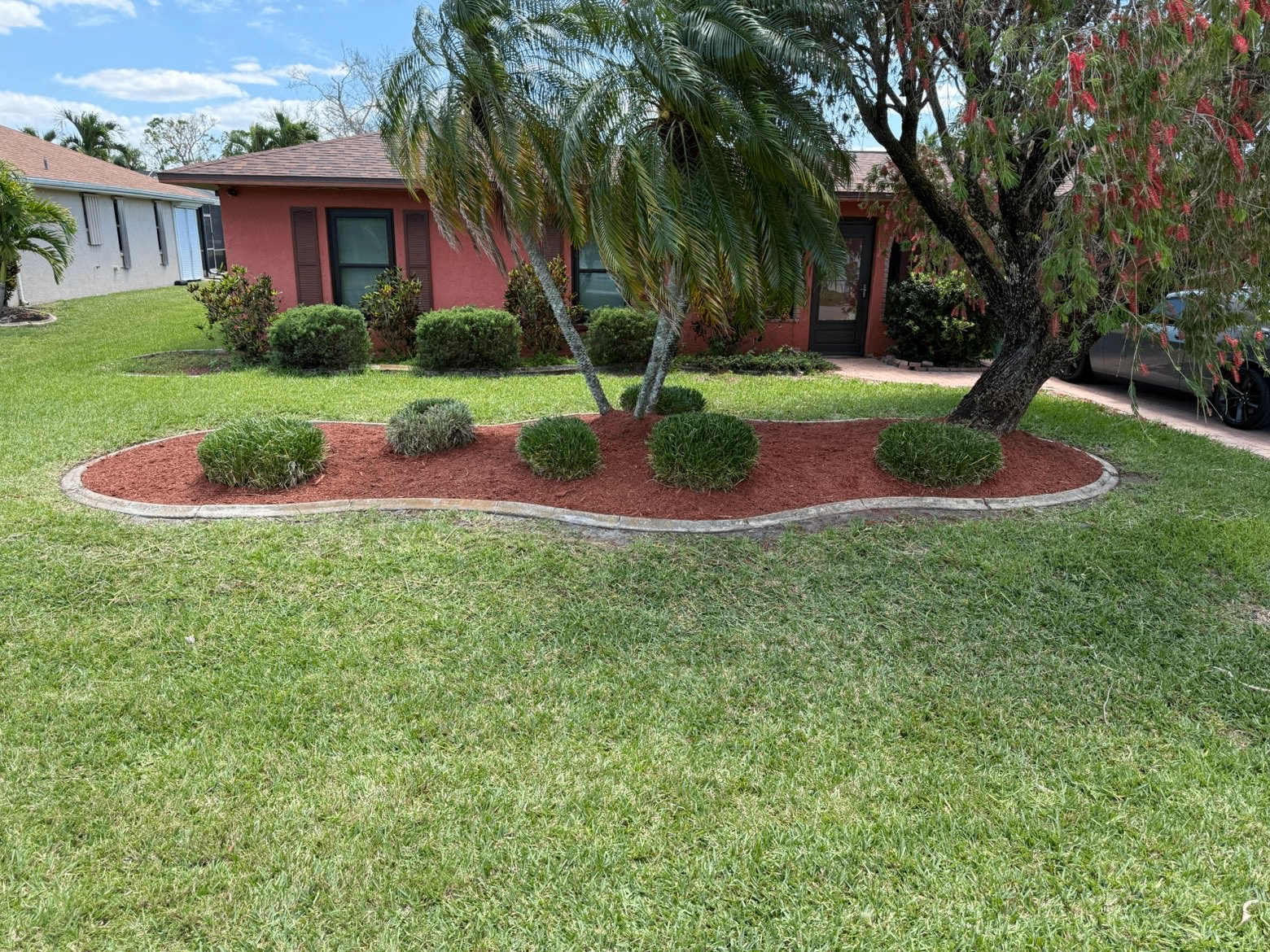 Fresh Cape Coral lawn with palms and manicured landscape beds